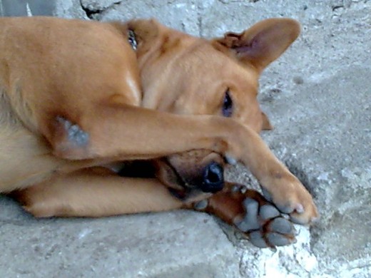 descansando, como siempre. descansando, como siempre.